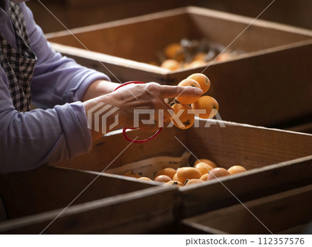 Shimozu loquat Shimozu loquat 112357576