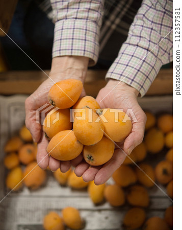 Shimozu loquat 112357581