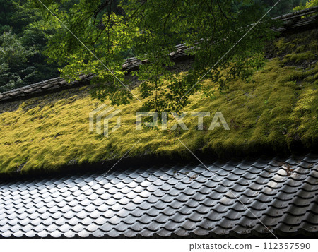 Atago Road 112357590