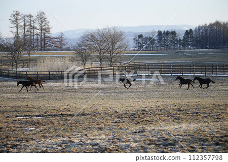 早春的純種馬農場 112357798