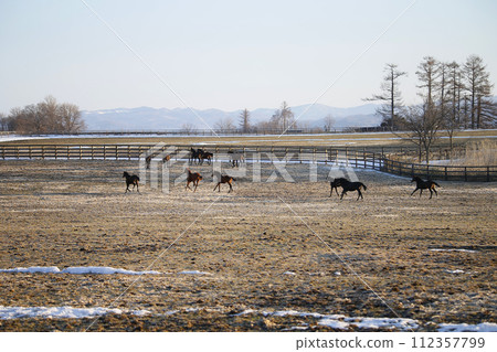 早春的純種馬農場 早春的純種馬農場 112357799