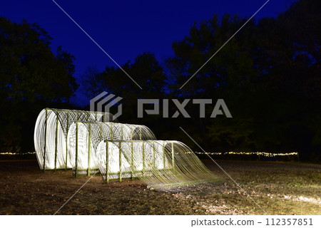Higashimatsuyama City Forest Park Illumination, Saitama Prefecture 112357851