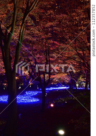 Higashimatsuyama City Forest Park Illumination, Saitama Prefecture 112357852