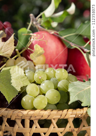 fruit picking image 112358073