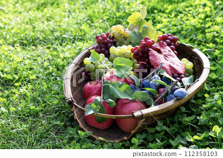 fruit picking image 112358103