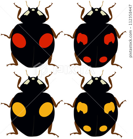四種益蟲「奈米瓢蟲」 二紋型 二黑底紅紋 黑底二黃紋 四紋 黑底紅紋 四黑底黃紋 112358447