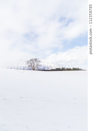 “Iwate Prefecture” A single cherry tree in midwinter and Mt. Iwate “Iwate Prefecture” A single cherry tree in midwinter and Mt. Iwate 112358785