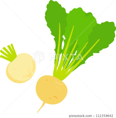 golden turnip cut in half golden turnip cut in half 112359642