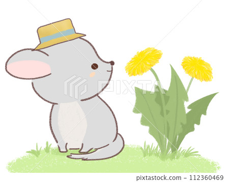 Illustration of a chinchilla and dandelion wearing a straw hat Illustration of a chinchilla and dandelion wearing a straw hat 112360469