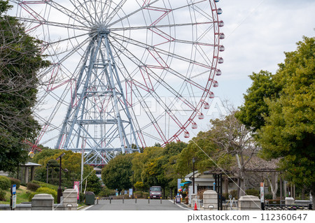 Colorful Ferris wheel at the amusement park 04 112360647