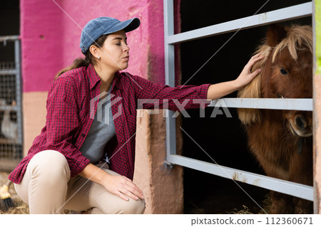 Young woman working with ponies Young woman working with ponies 112360671
