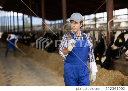 Farmer man stands with rake at cow farm Farmer man stands with rake at cow farm 112361002
