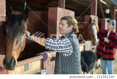 Smiling adult male cleaning head of brown horse with brush in horseriding club Smiling adult male cleaning head of brown horse with brush in horseriding club 112361109