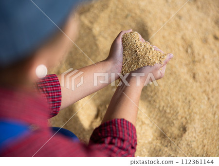 Positive woman farmer picking up corn flour calf on background of large pile in farm storage 112361144