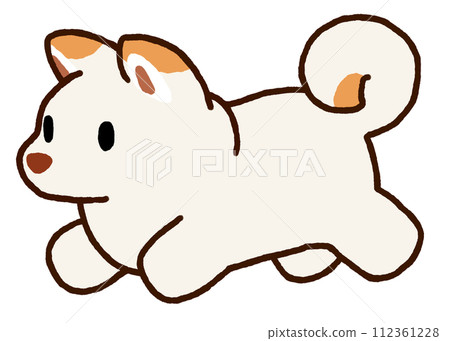 奔跑的白柴犬 奔跑的白柴犬 112361228