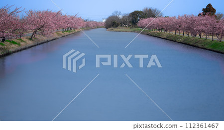 s松川津櫻路 112361467