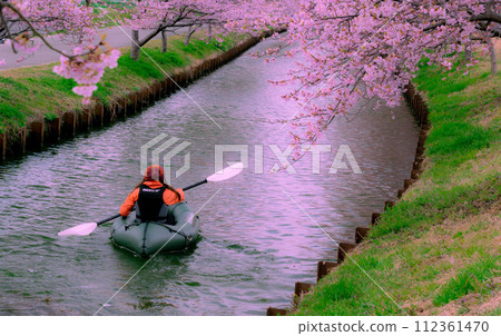s松川津櫻路 112361470