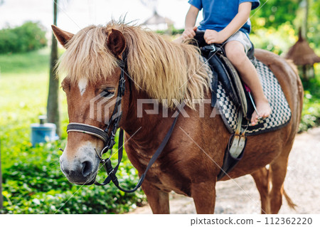 Little boy riding small horse. Summer mood bright nature. Hotel park near sea. Communication with animals 112362220