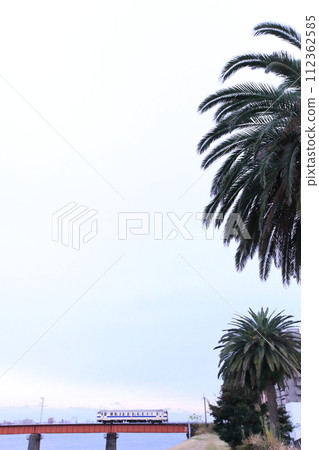 Miyazaki prefecture's prefectural tree Phoenix, Oyodogawa bridge and diesel train Kiha 40 2068 Miyazaki prefecture's prefectural tree Phoenix, Oyodogawa bridge and diesel train Kiha 40 2068 112362585