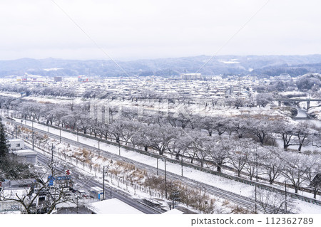 Early spring snow and cherry blossom trees seen from Funaoka Castle Ruins Park, Shibata Town, Miyagi Prefecture 112362789