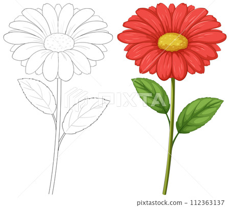 Blossoming Beauty: From Sketch to Color 112363137