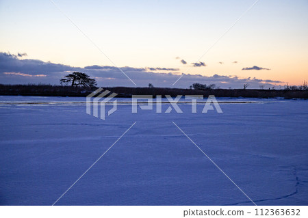 本別海鷹樹 本別海鷹樹 112363632