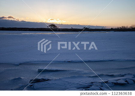 本別海鷹樹 112363638