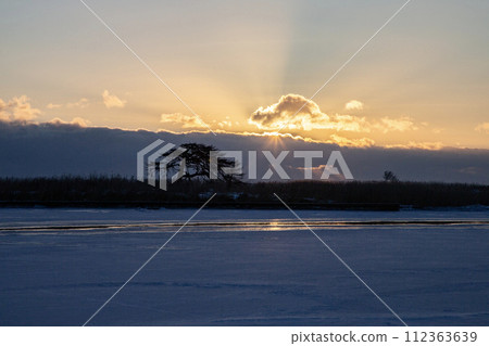 本別海鷹樹 112363639