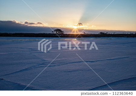 本別海鷹樹 112363640