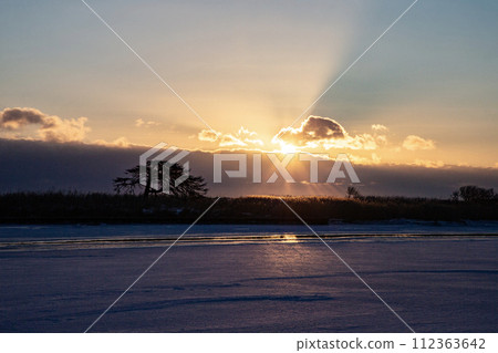 本別海鷹樹 112363642