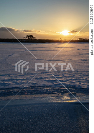 本別海鷹樹 本別海鷹樹 112363645