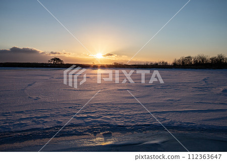 本別海鷹樹 本別海鷹樹 112363647