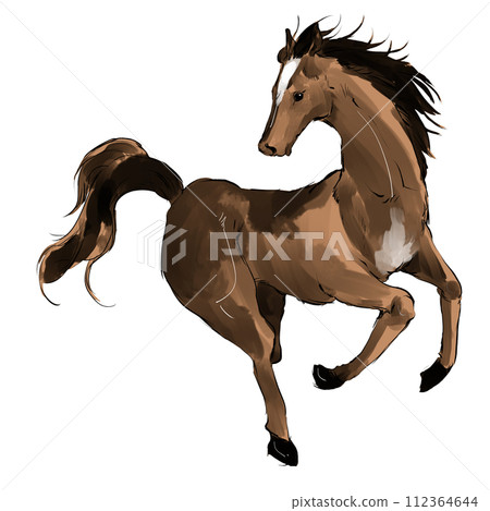 Running horses Running horses 112364644