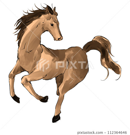 連續馬的例證 連續馬的例證 112364646