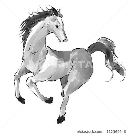 Illustration of a running white horse Illustration of a running white horse 112364648