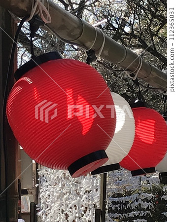 cherry blossom lanterns 112365031