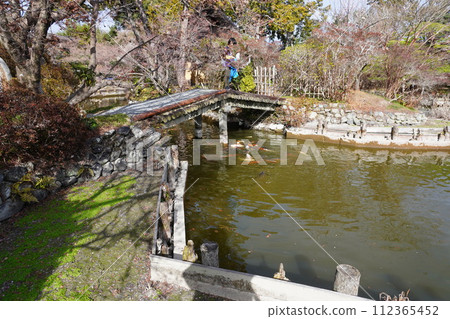Park's pond Park's pond 112365452