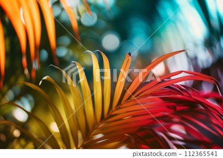 Summer feeling background 112365541