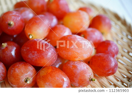 從山梨縣的葡萄園採購的葡萄。 Kaiji 是直接從農場生產的。 112365903