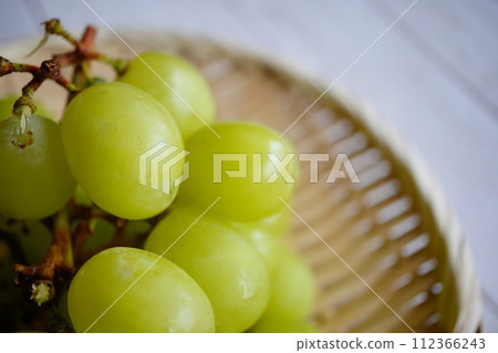 Grapes purchased from a vineyard in Yamanashi Prefecture. Nao Yamaji's Shine Muscat. 112366243