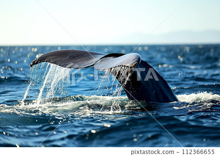 Seascape with whale tail, diving into the water and splashes on surface of the ocean, seascape Seascape with whale tail, diving into the water and splashes on surface of the ocean, seascape 112366655