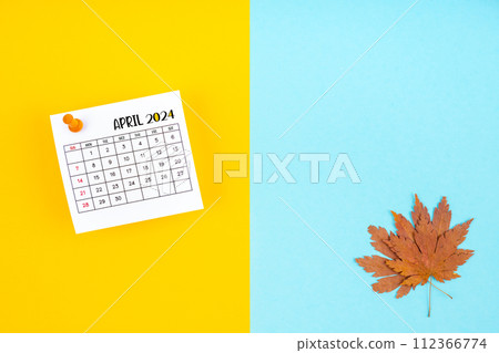 Top view of a April 2024 calendar and autumn foliage on a yellow and blue background. 112366774