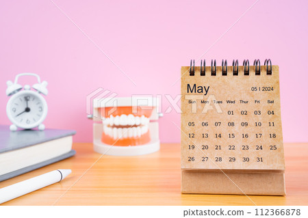 May monthly desk calendar for 2024 year and model dentures on the table. 112366878