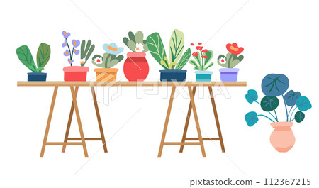 Botanical set of indoor plants. Interior houseplants, flowerpots. Home indoor green decor on furniture. Shelf for flowering plants. Different blooming flowers and foliage. Flat graphic vector Botanical set of indoor plants. Interior houseplants, flowerpots. Home indoor green decor on furniture. Shelf for flowering plants. Different blooming flowers and foliage. Flat graphic vector 112367215