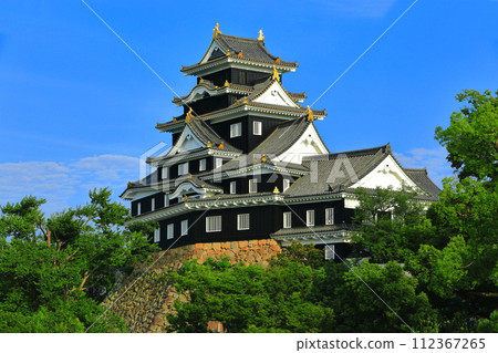 [Okayama Prefecture] Okayama Castle in sunny weather (after major renovation in Reiwa) 112367265