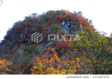 日光伊呂波坂的紅葉/栃木縣日光市 112367372