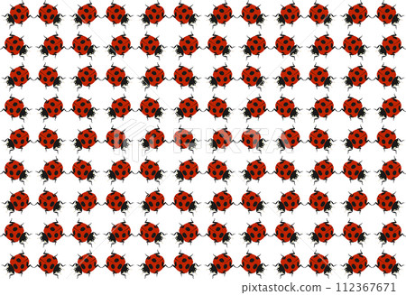 有益昆蟲「七星瓢蟲」背景影像向下對角線 112367671