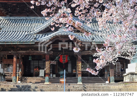 Kokawadera Temple Main Hall Cherry Blossoms 112367747