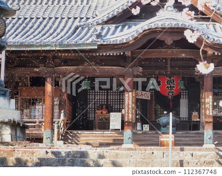 Kokawa Temple Main Hall and Cherry Blossom Snowstorm Kokawa Temple Main Hall and Cherry Blossom Snowstorm 112367748