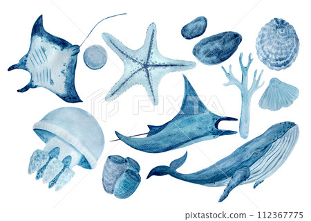 Watercolor hand-drawn a blue whale, a manta ray, shells, a starfish ,a polyp and a coral monochromatic set in blue isolated on white Watercolor hand-drawn a blue whale, a manta ray, shells, a starfish ,a polyp and a coral monochromatic set in blue isolated on white 112367775